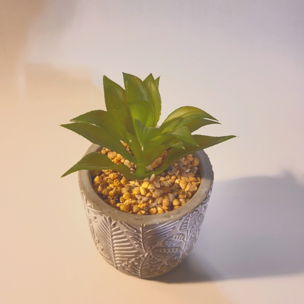 Small artificial potted succulent